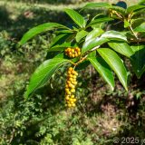 Antigua und Barbuda, John Hughs, Karibik