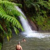 Guadeloupe, Karibik, Petit-Bourg