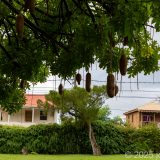 Dominica, Karibik, Roseau