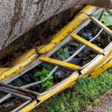 Dominica, Karibik, Roseau