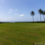 Destillerie Depaz, Karibik, Martinique