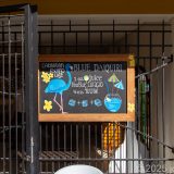 Curacao, Karibik, Landhuis Chobolobo