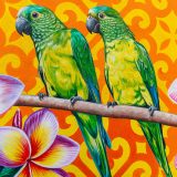 Curacao, Karibik, Willemstad