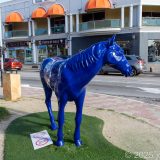 Aruba, Blaues Pferd, Karibik, Oranjestad